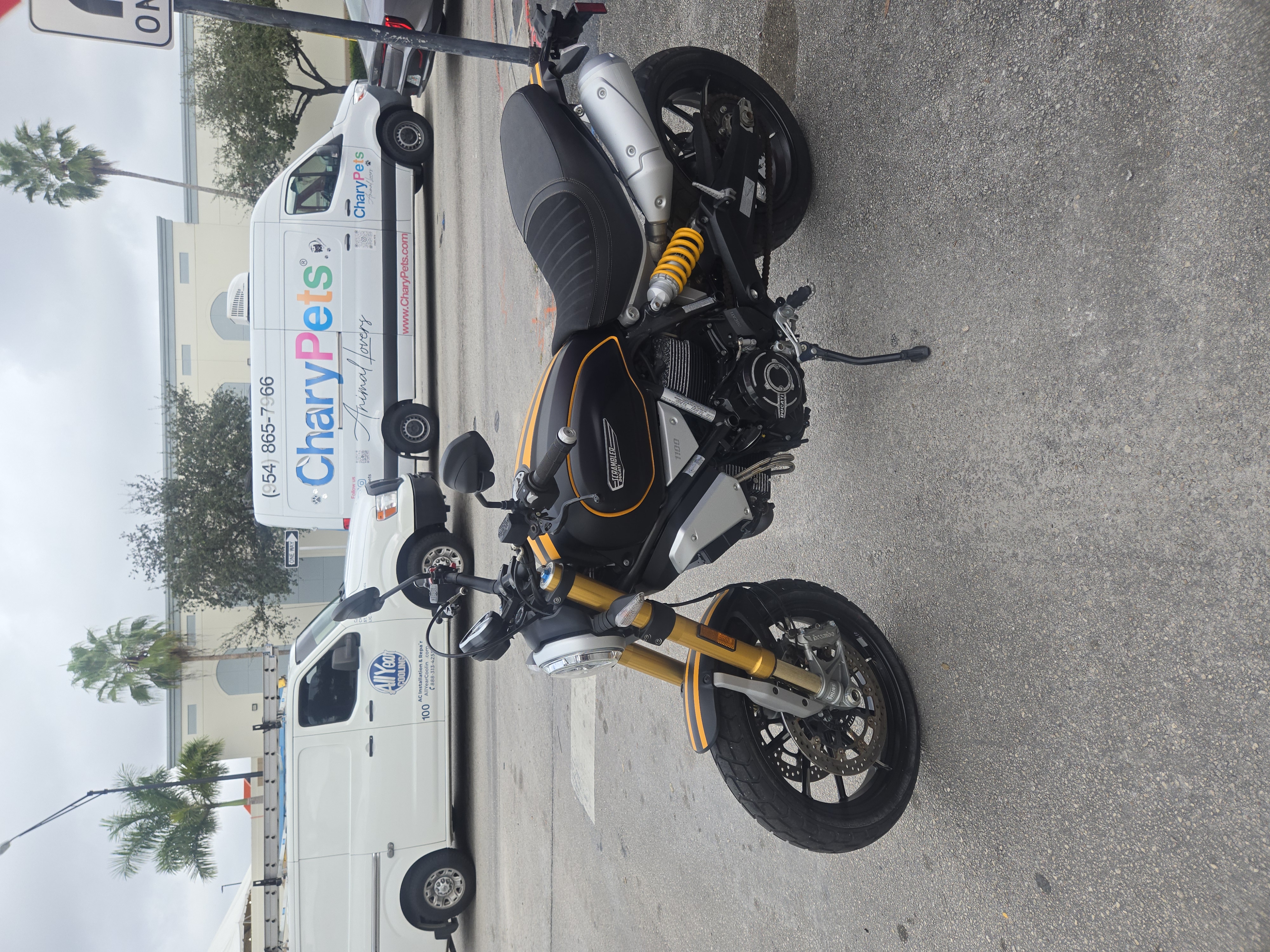 2019 Ducati Scrambler 1100cc