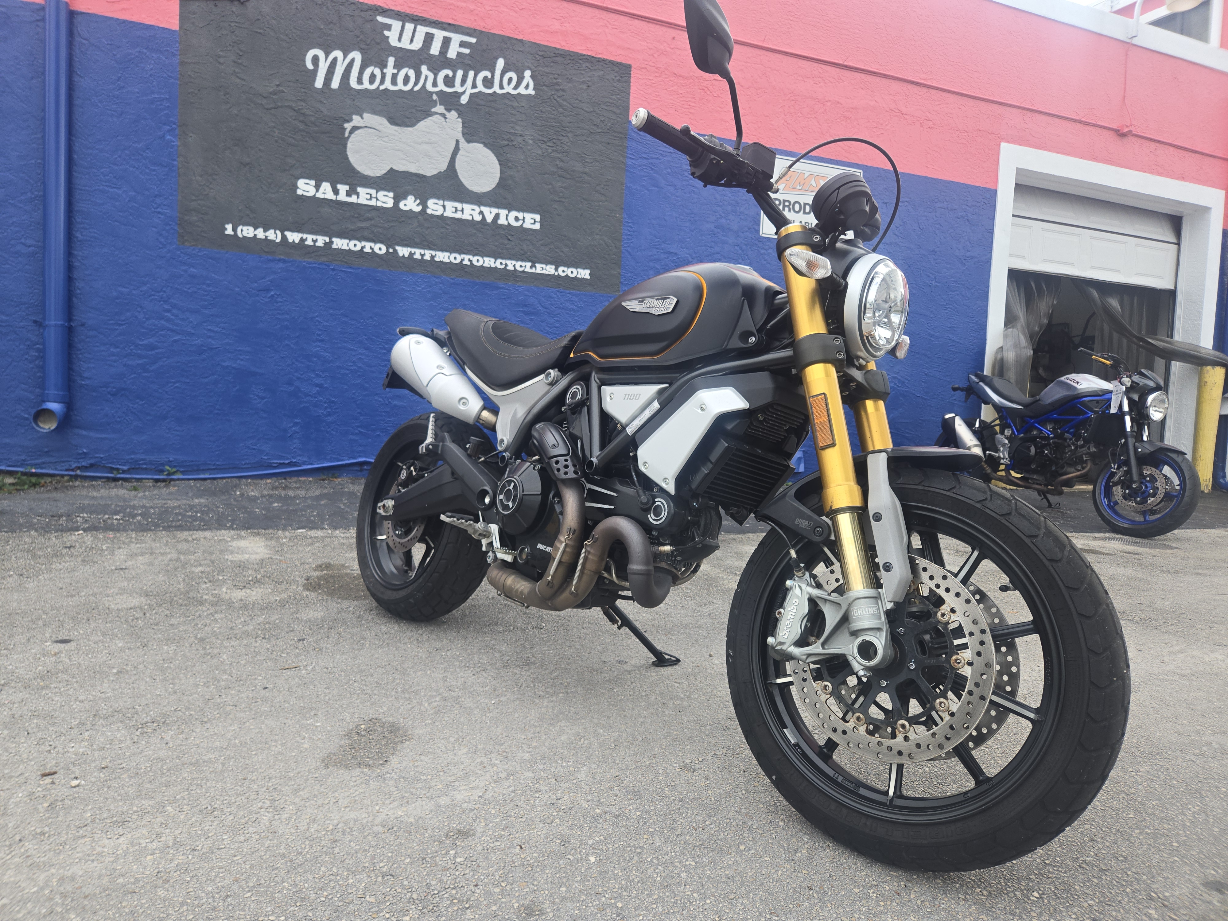 2019 Ducati Scrambler 1100cc